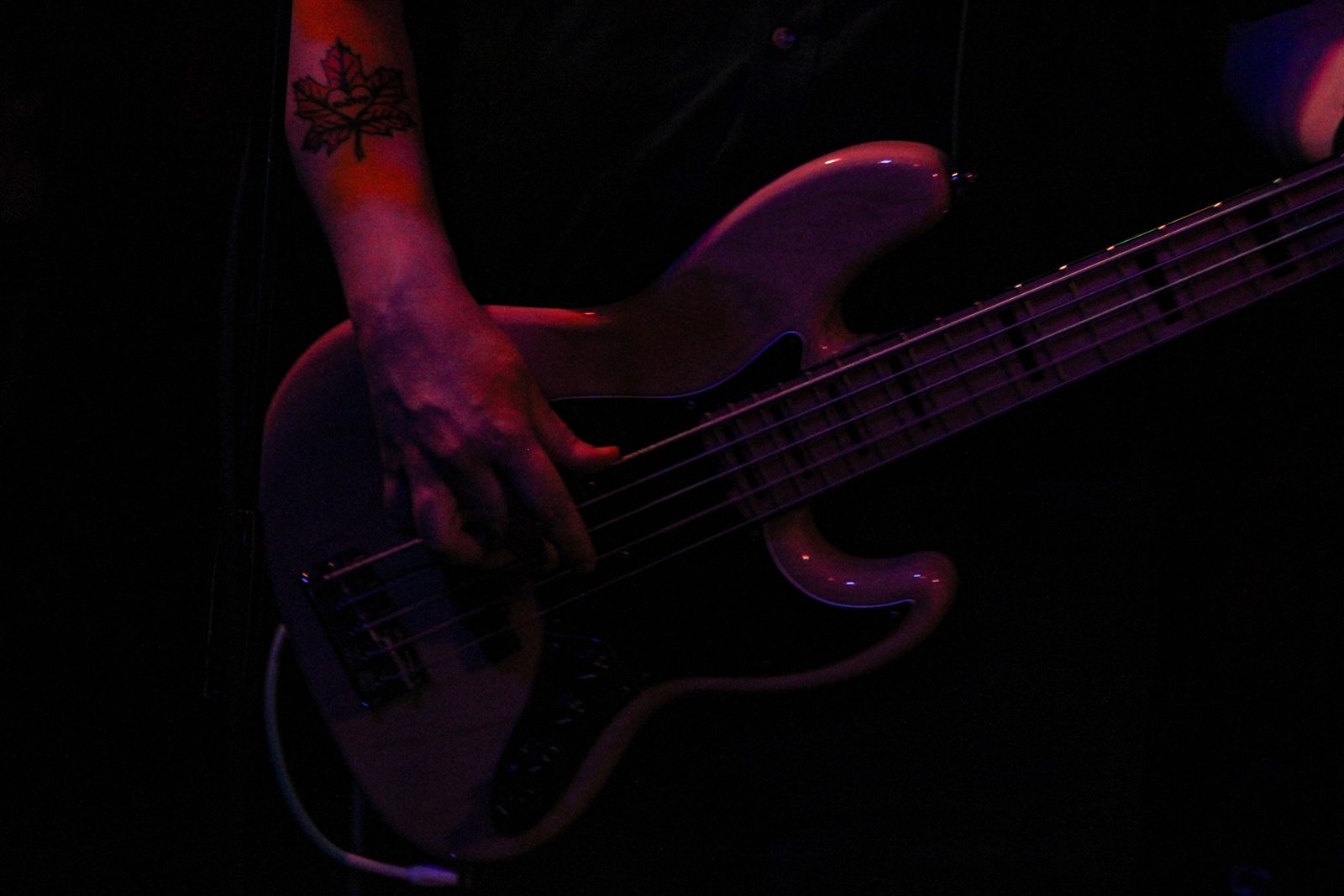 Tenderheds — a bass and the player’s hands, in violet light
