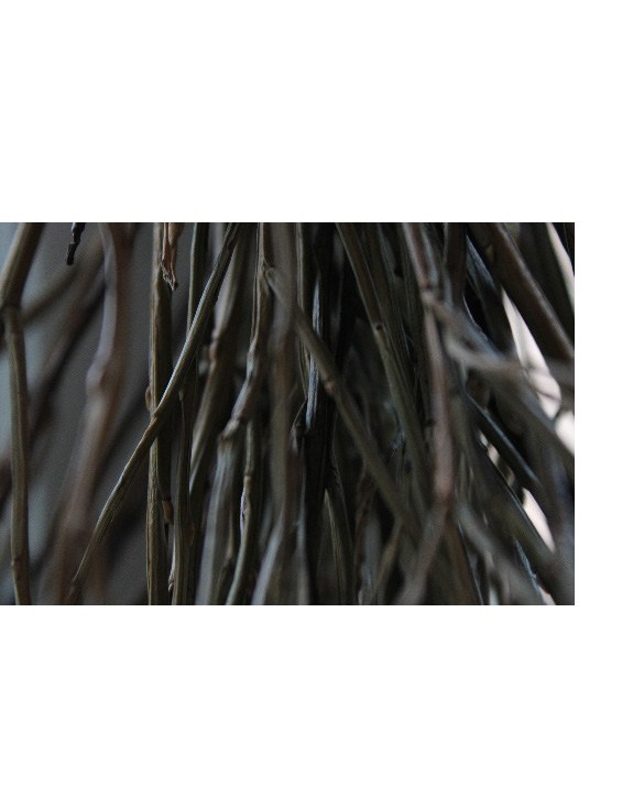 Languages — grass with the same fall