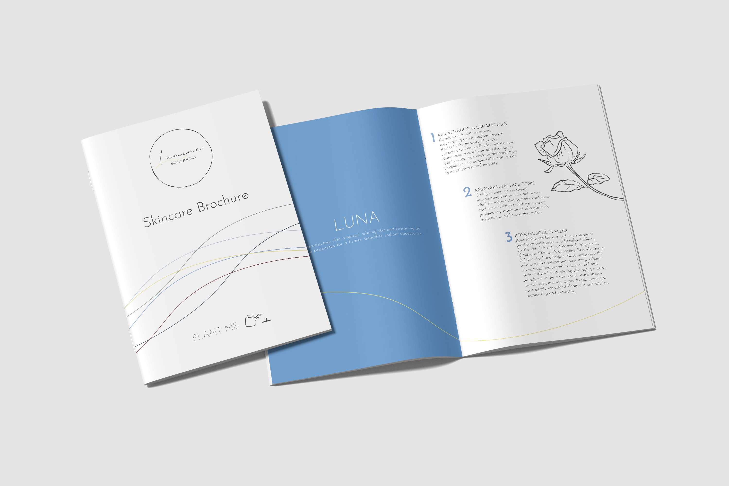 Lumina — brochure