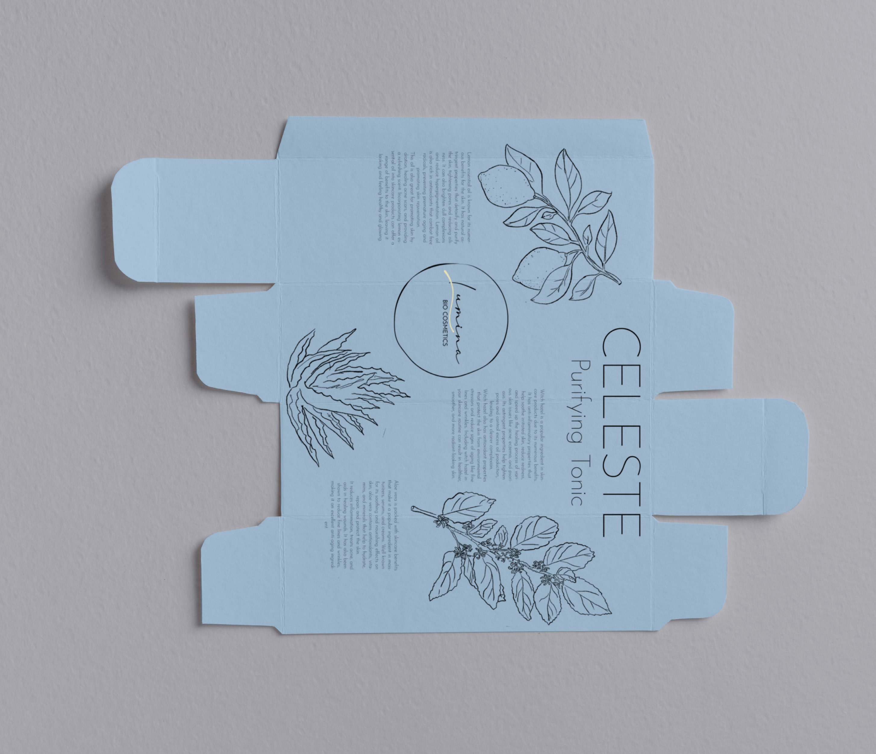 Lumina — Celeste box flat, printed inside and out on plantable paper